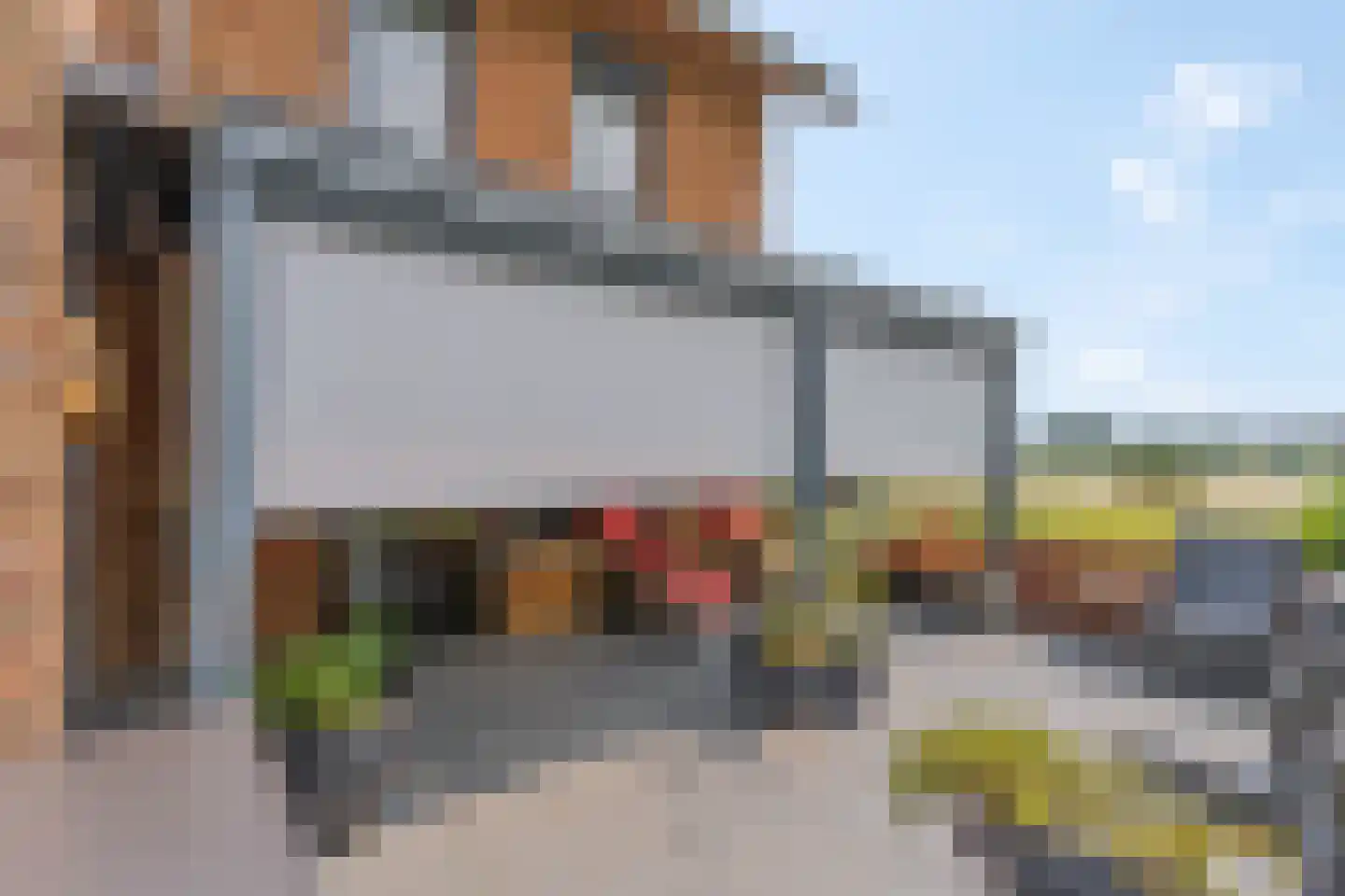 Zanglijster 90 Rhenen thumbnail 35