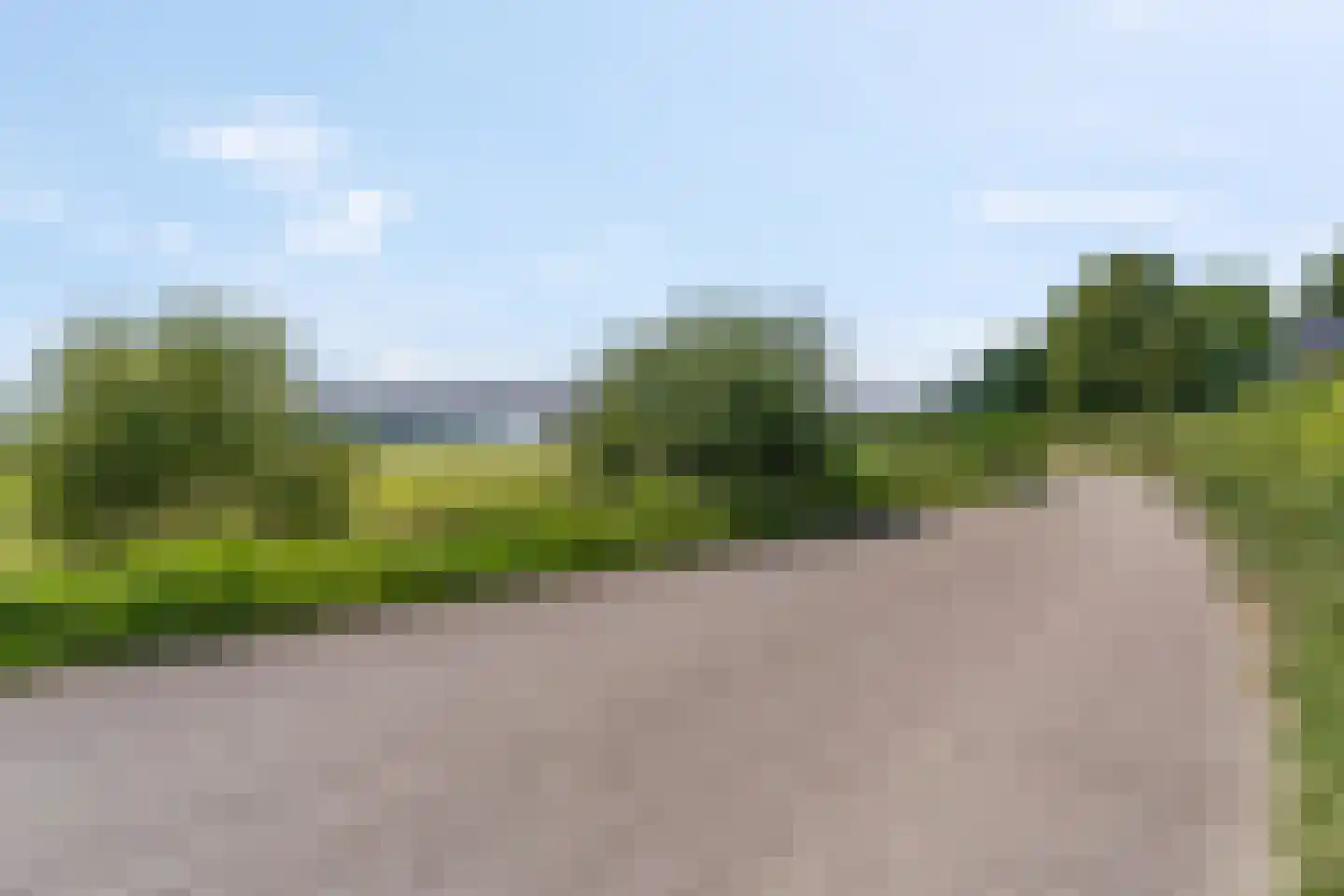 Zanglijster 90 Rhenen thumbnail 36