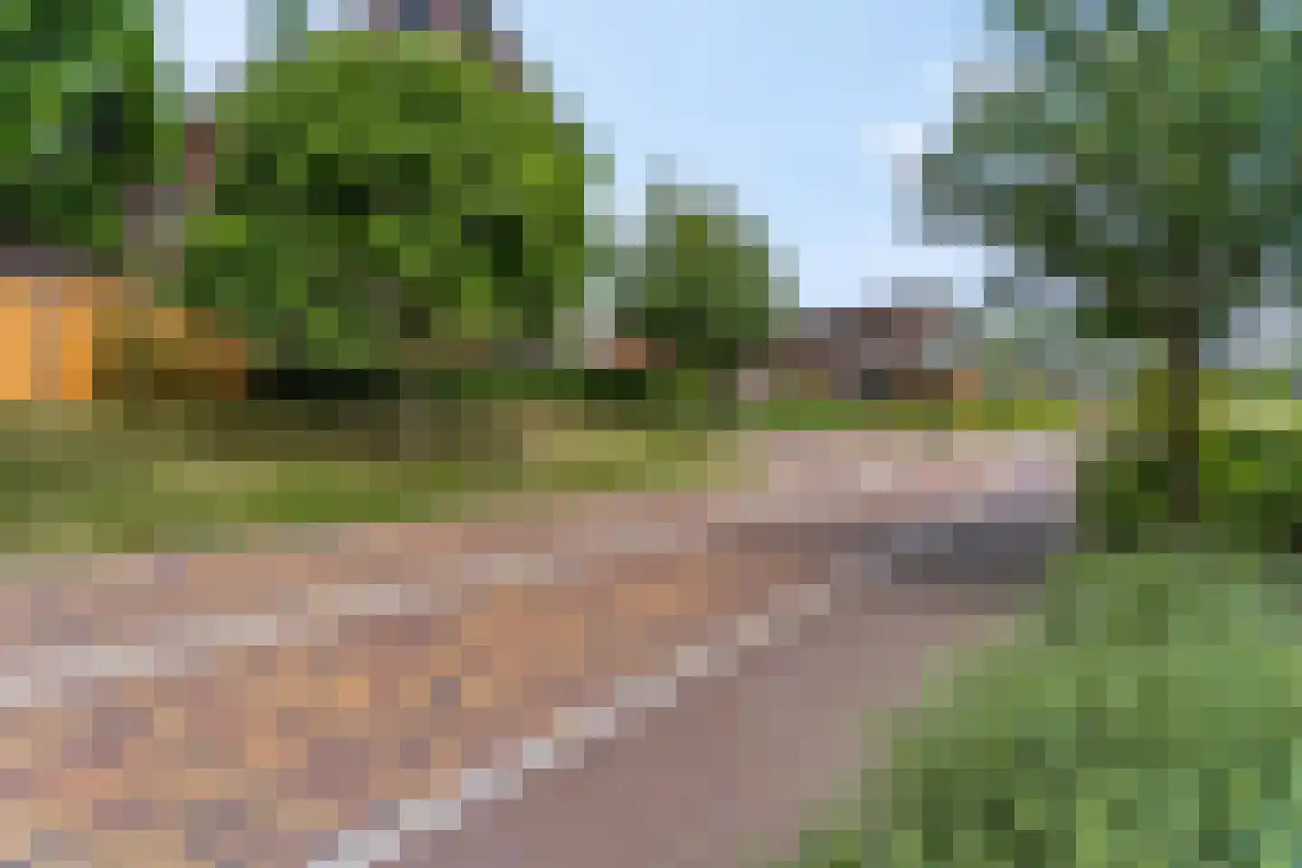 Zanglijster 90 Rhenen thumbnail 37