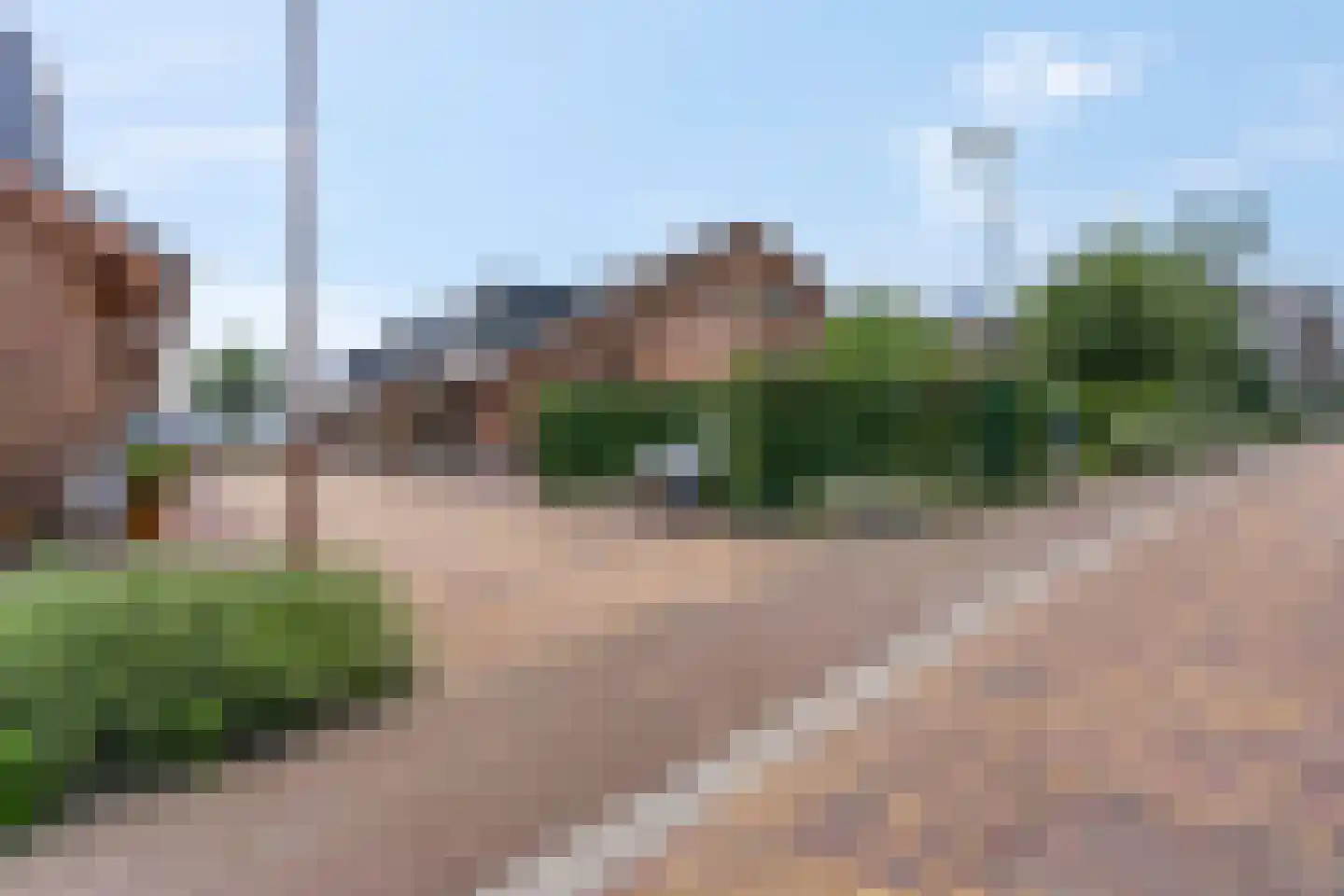 Zanglijster 90 Rhenen thumbnail 38