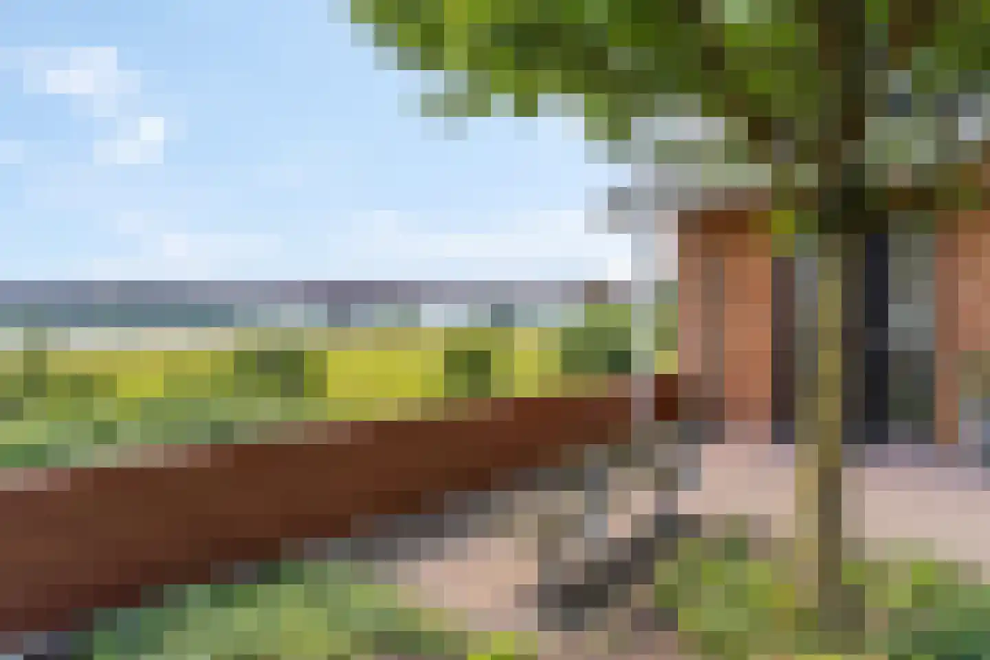 Zanglijster 90 Rhenen thumbnail 42