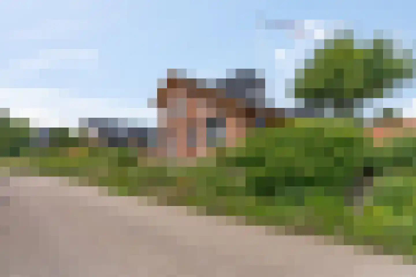Zanglijster 90 Rhenen thumbnail 45