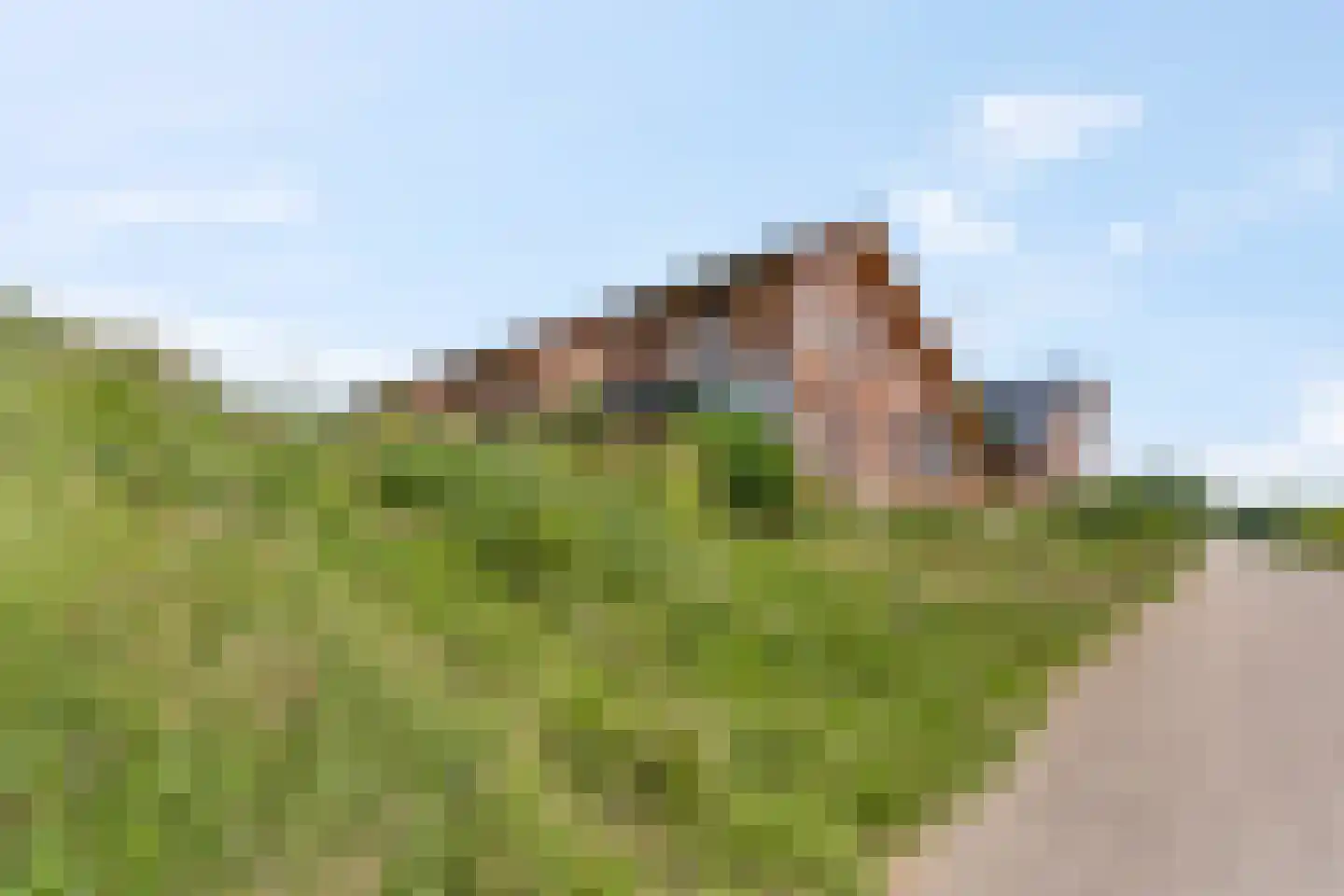 Zanglijster 90 Rhenen thumbnail 46