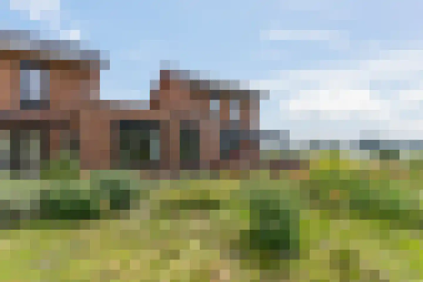 Zanglijster 90 Rhenen thumbnail 47