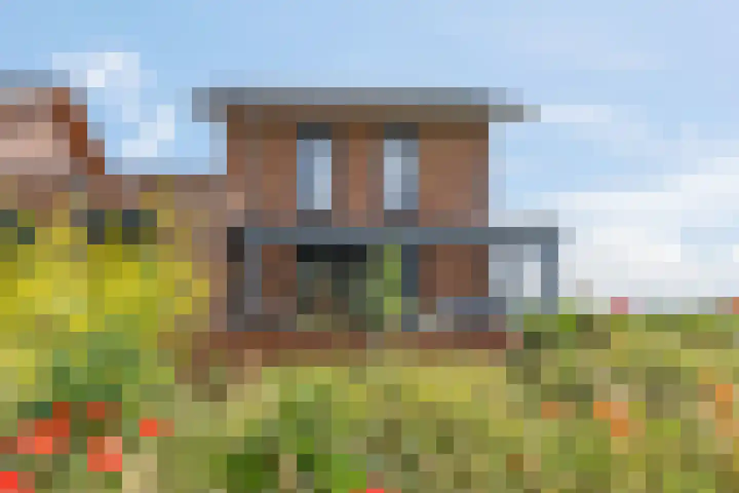 Zanglijster 90 Rhenen thumbnail 48