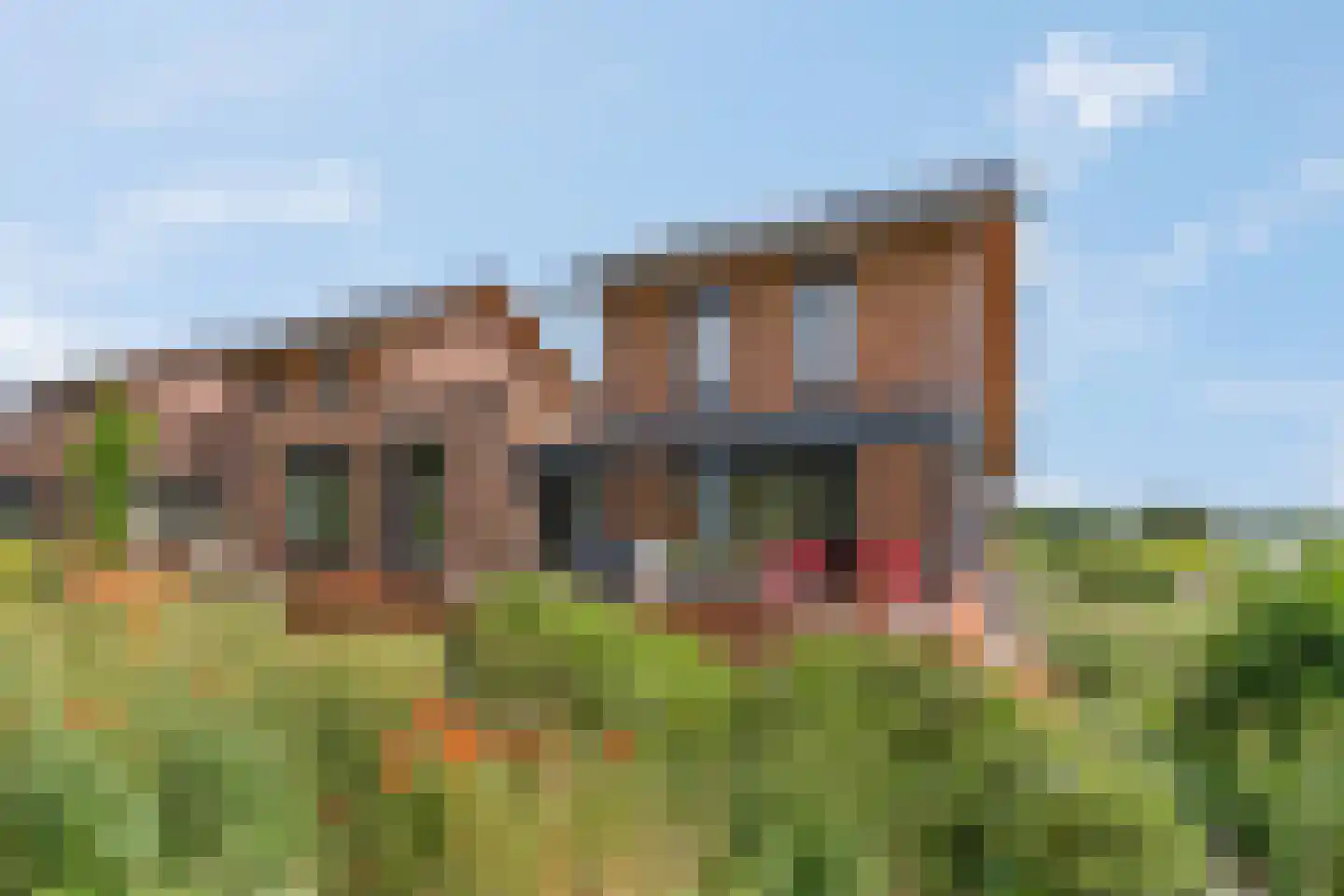 Zanglijster 90 Rhenen thumbnail 49