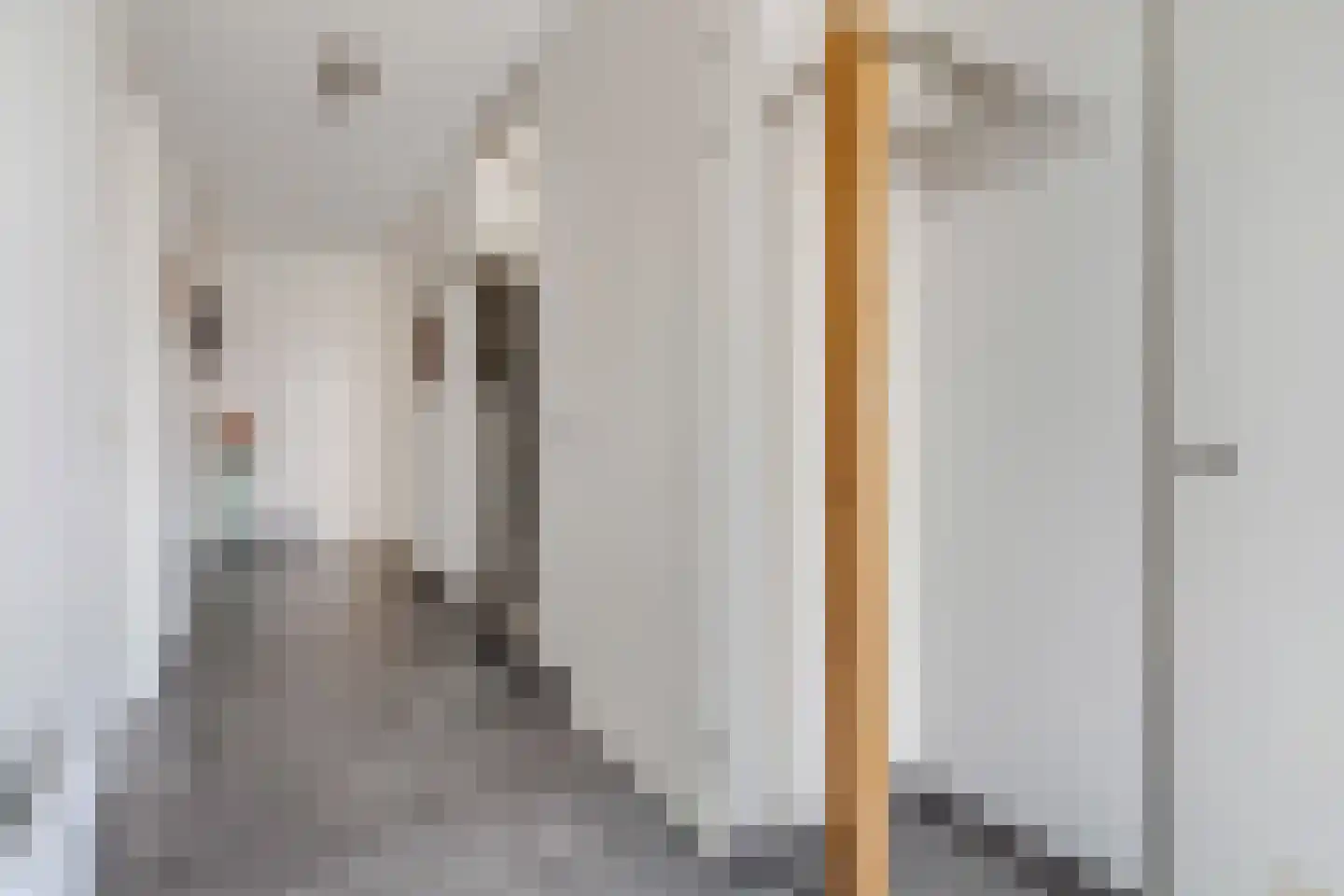 Zanglijster 90 Rhenen thumbnail 5