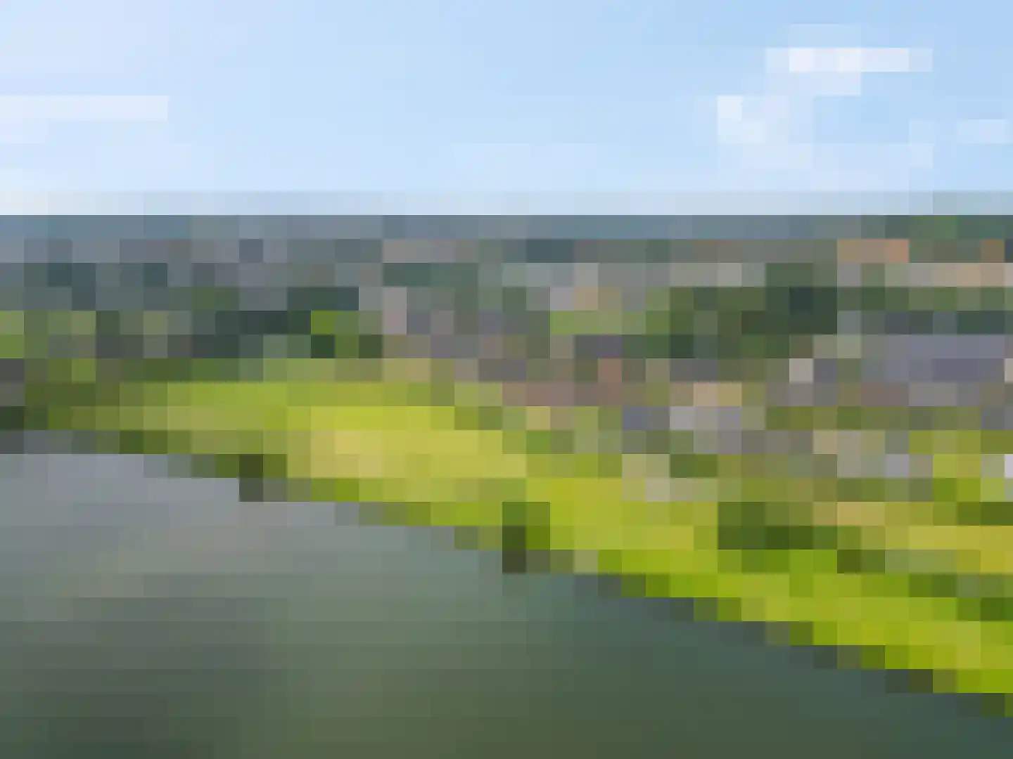 Zanglijster 90 Rhenen thumbnail 54