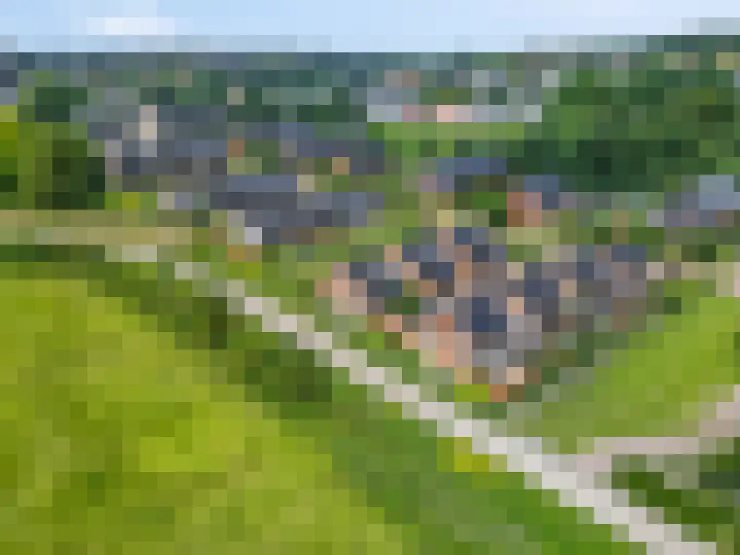 Zanglijster 90 Rhenen thumbnail 55