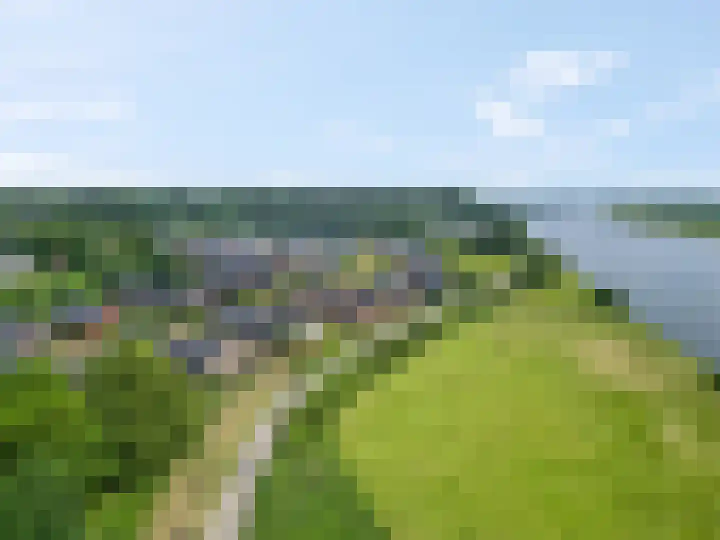 Zanglijster 90 Rhenen thumbnail 56