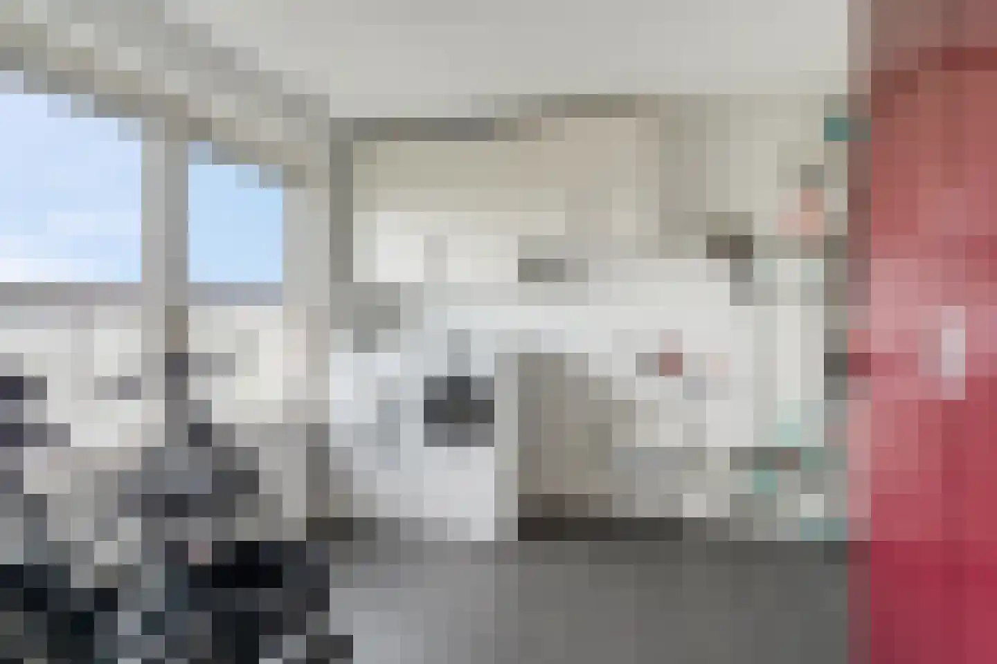 Zanglijster 90 Rhenen thumbnail 8