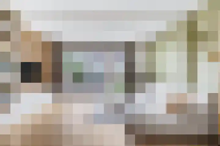 Zanglijster 93 Rhenen thumbnail 10
