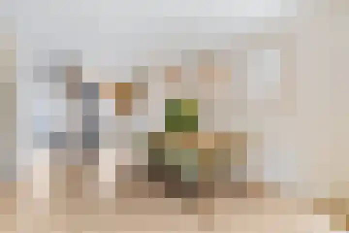 Zanglijster 93 Rhenen thumbnail 14