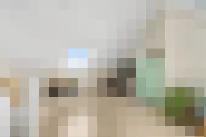 Zanglijster 93 Rhenen thumbnail 31