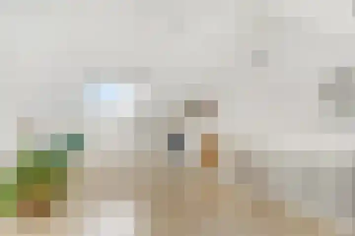 Zanglijster 93 Rhenen thumbnail 33