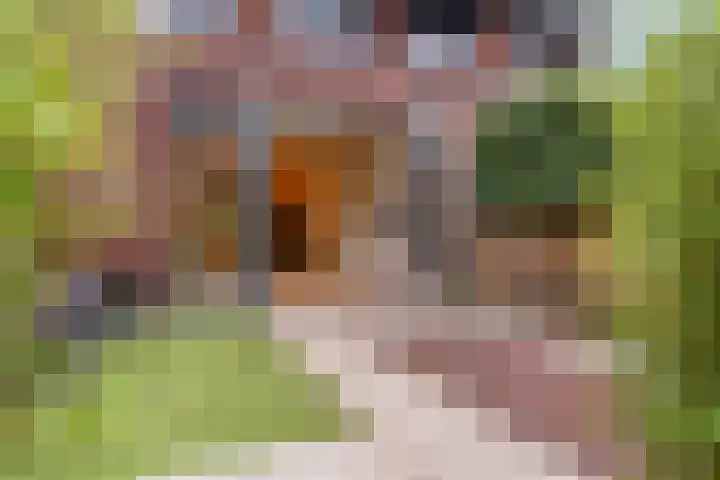 Zanglijster 93 Rhenen thumbnail 35