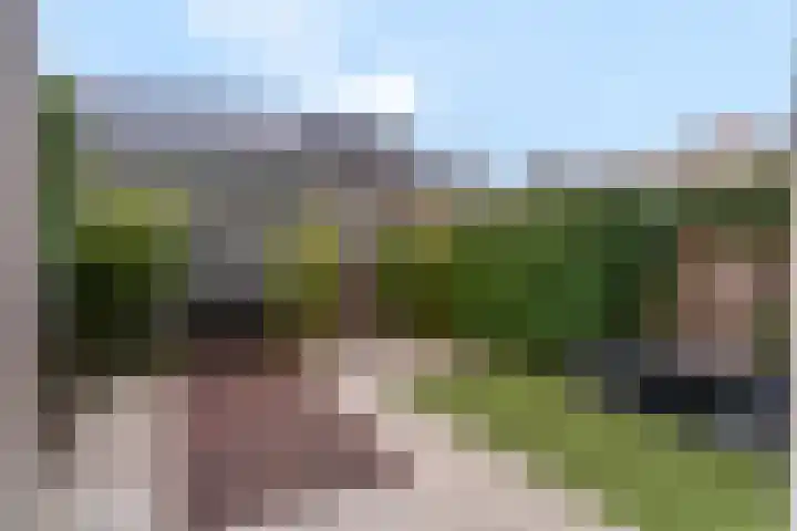 Zanglijster 93 Rhenen thumbnail 36