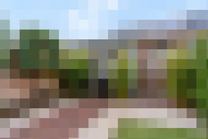Zanglijster 93 Rhenen thumbnail 37