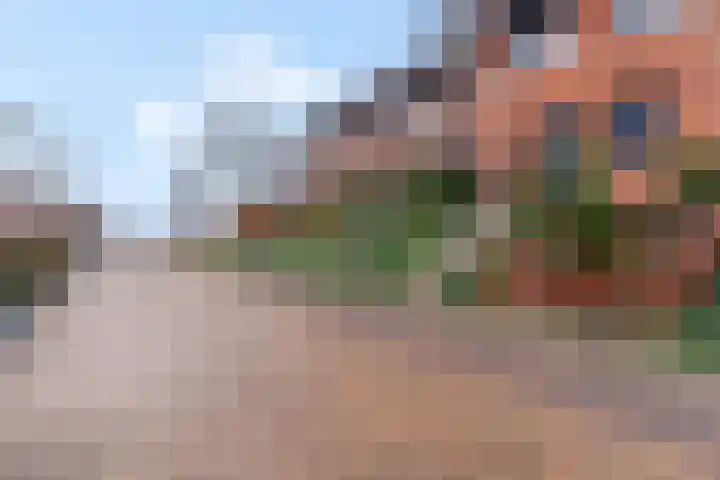 Zanglijster 93 Rhenen thumbnail 39