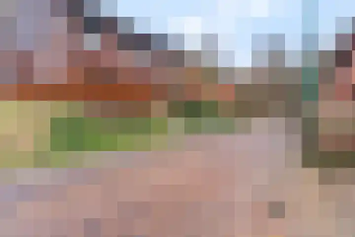Zanglijster 93 Rhenen thumbnail 40
