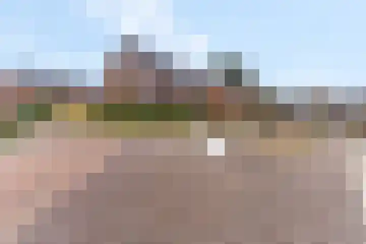 Zanglijster 93 Rhenen thumbnail 41