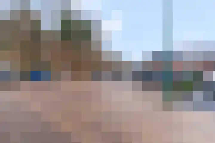 Zanglijster 93 Rhenen thumbnail 43