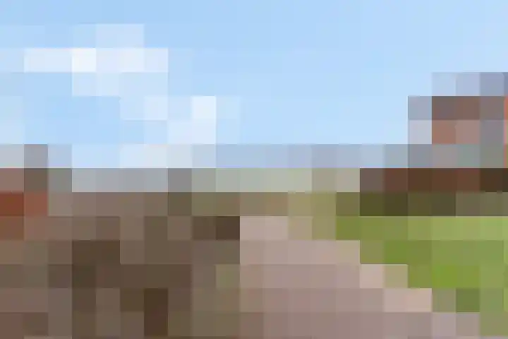 Zanglijster 93 Rhenen thumbnail 44