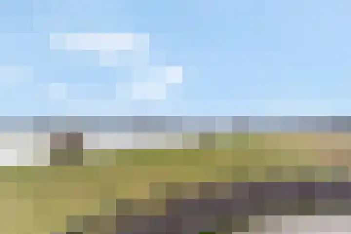 Zanglijster 93 Rhenen thumbnail 47