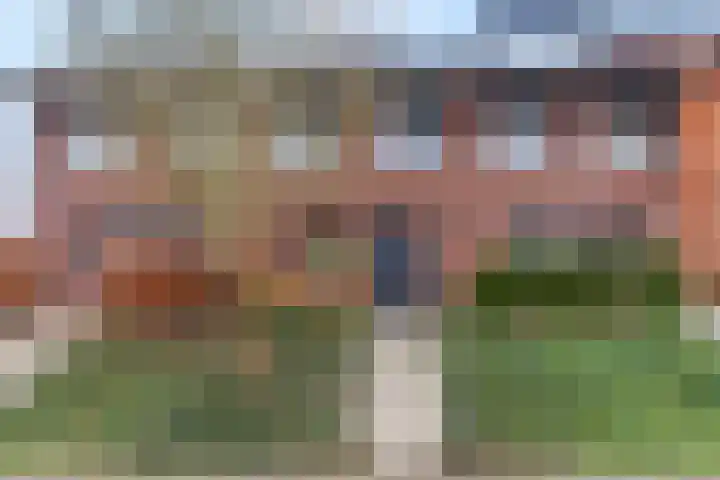 Zanglijster 93 Rhenen thumbnail 5