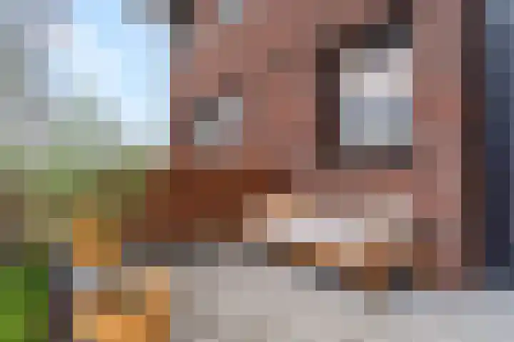 Zanglijster 93 Rhenen thumbnail 6