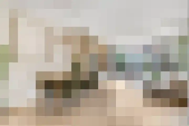 Zanglijster 93 Rhenen thumbnail 8