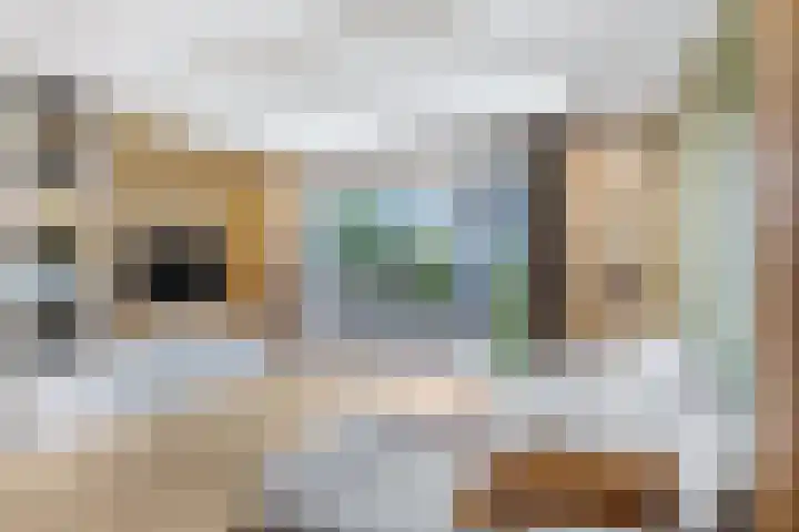 Zanglijster 93 Rhenen thumbnail 9