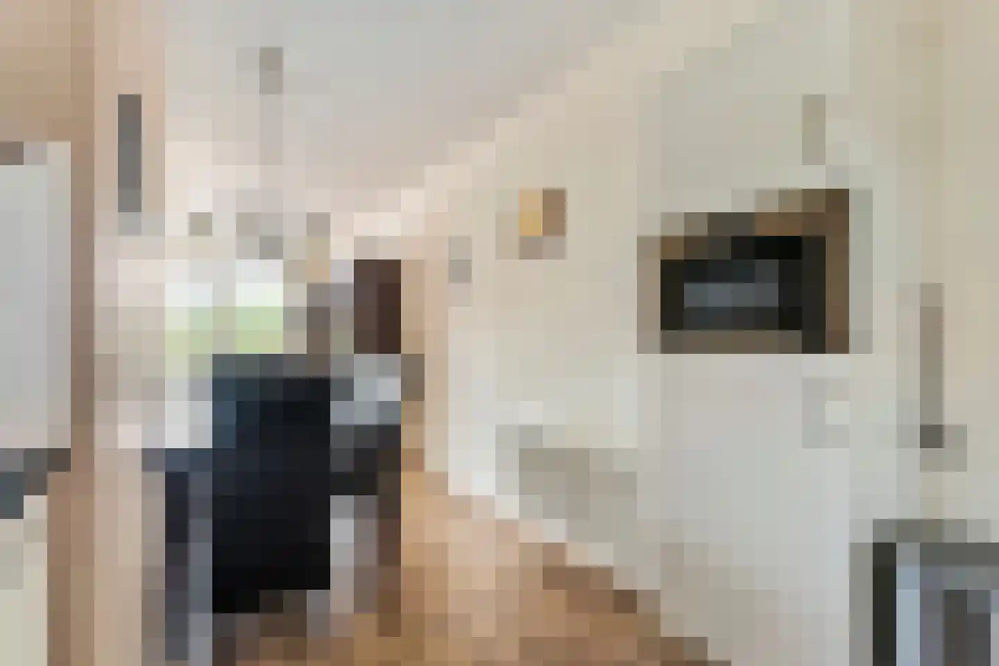 Zanglijsterstraat 129 Rotterdam thumbnail 13
