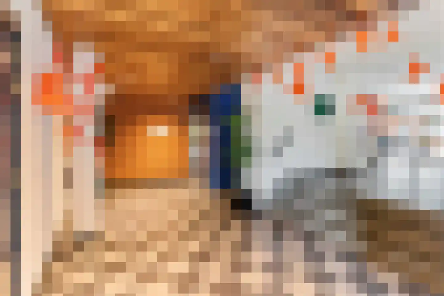 Zanglijsterstraat 129 Rotterdam thumbnail 32