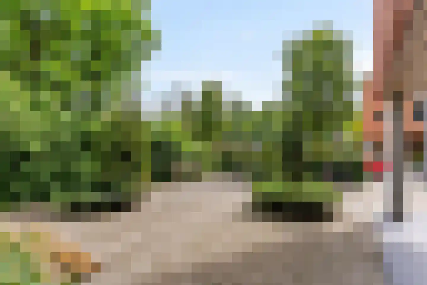 Zanglijsterstraat 129 Rotterdam thumbnail 35