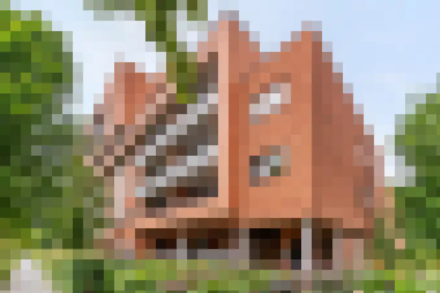 Zanglijsterstraat 129 Rotterdam thumbnail 5