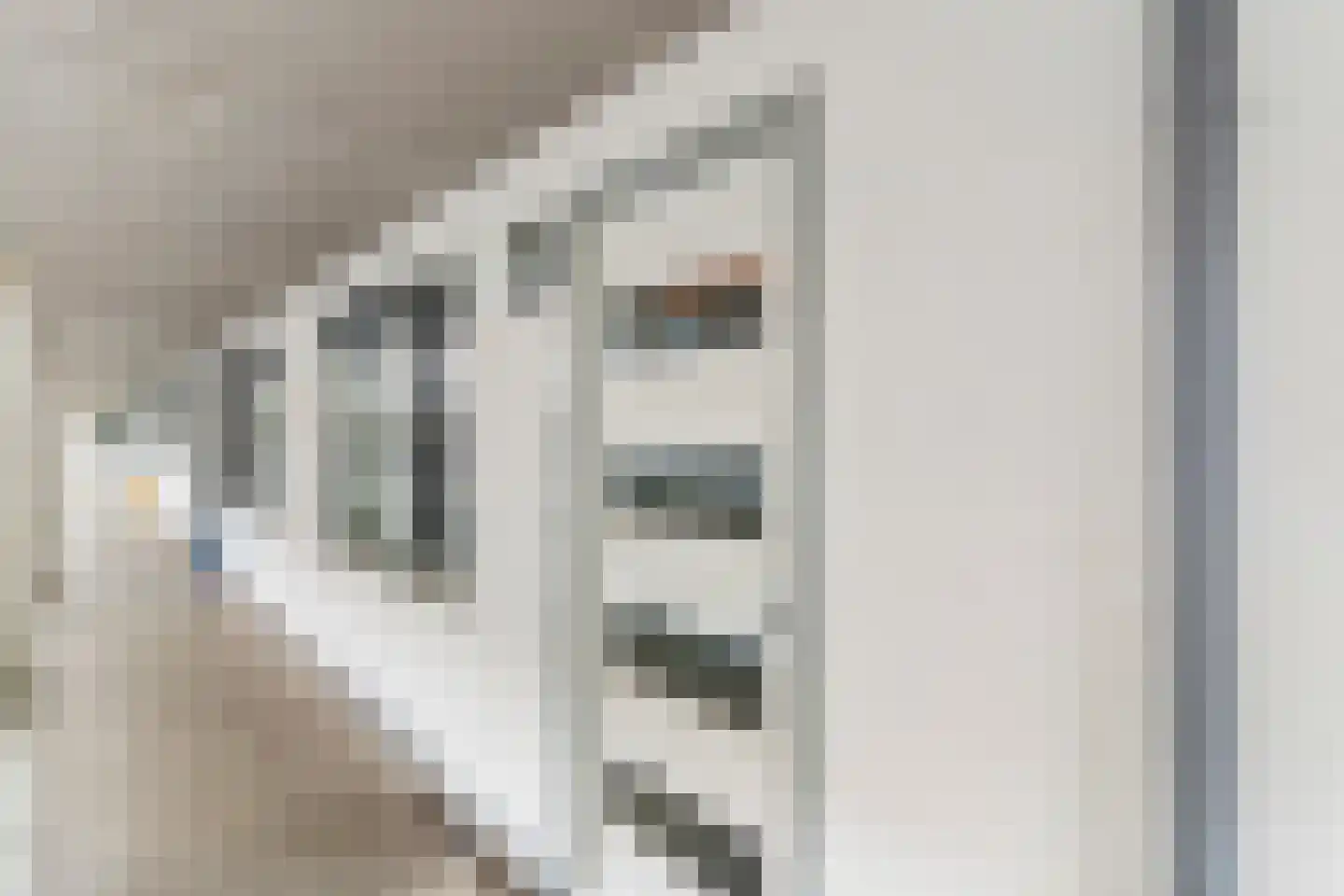 Zanglijsterstraat 129 Rotterdam thumbnail 6