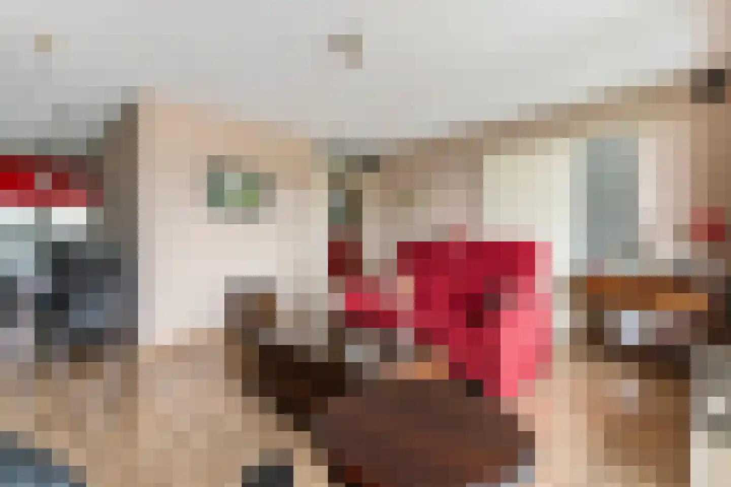 Zanglijsterstraat 129 Rotterdam thumbnail 9