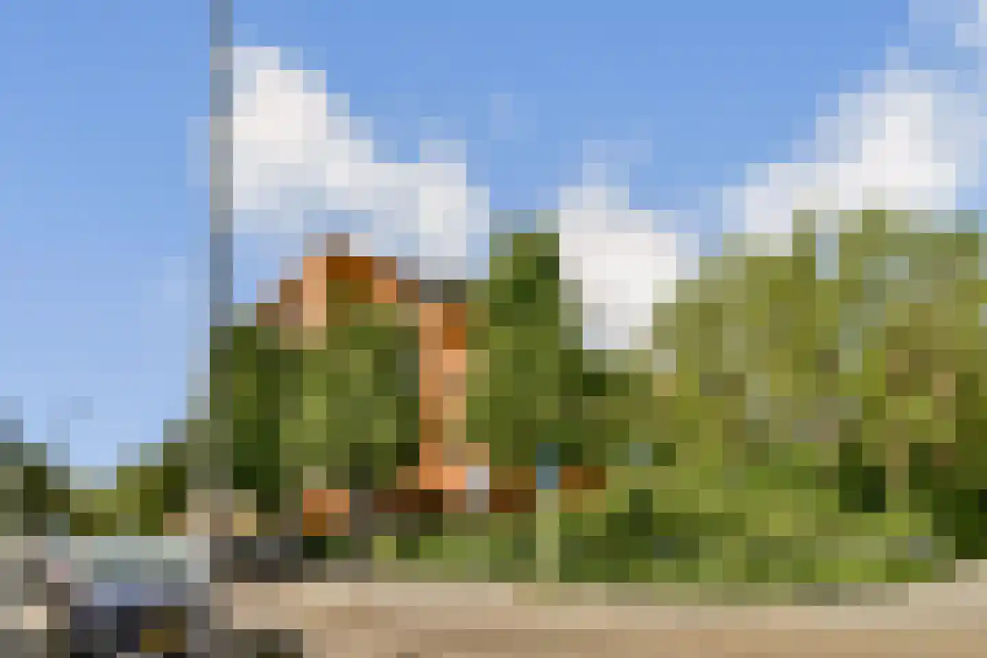 Zanglijsterstraat 155 Rotterdam thumbnail 23