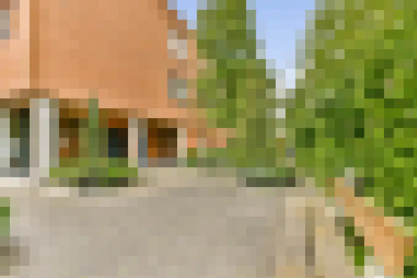Zanglijsterstraat 155 Rotterdam thumbnail 30
