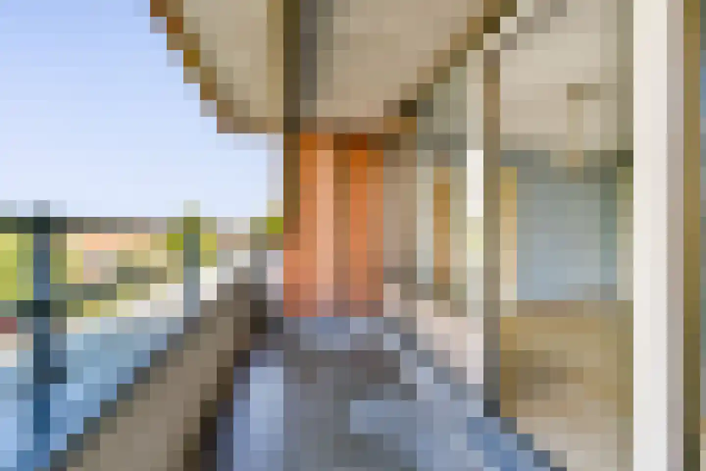 Zanglijsterstraat 155 Rotterdam thumbnail 5