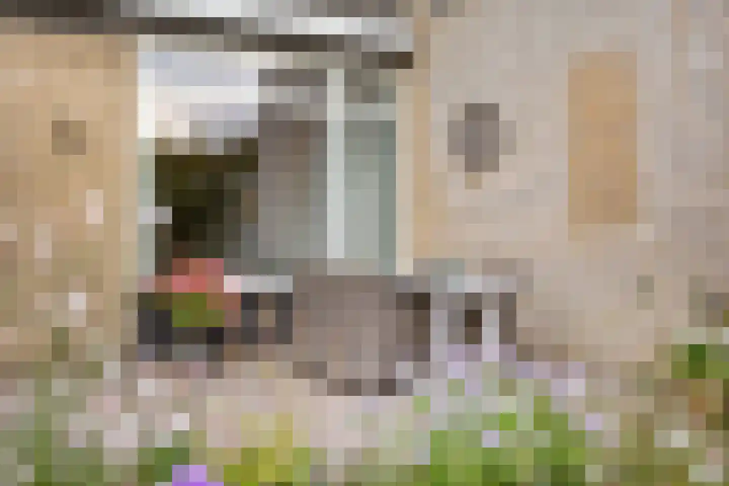 Zangvogelstraat 17 Heinkenszand thumbnail 36