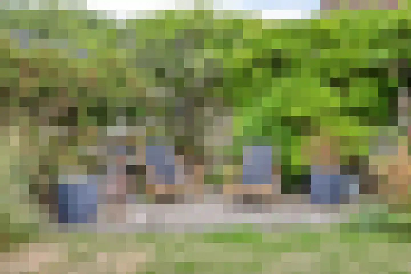 Zangvogelstraat 17 Heinkenszand thumbnail 37