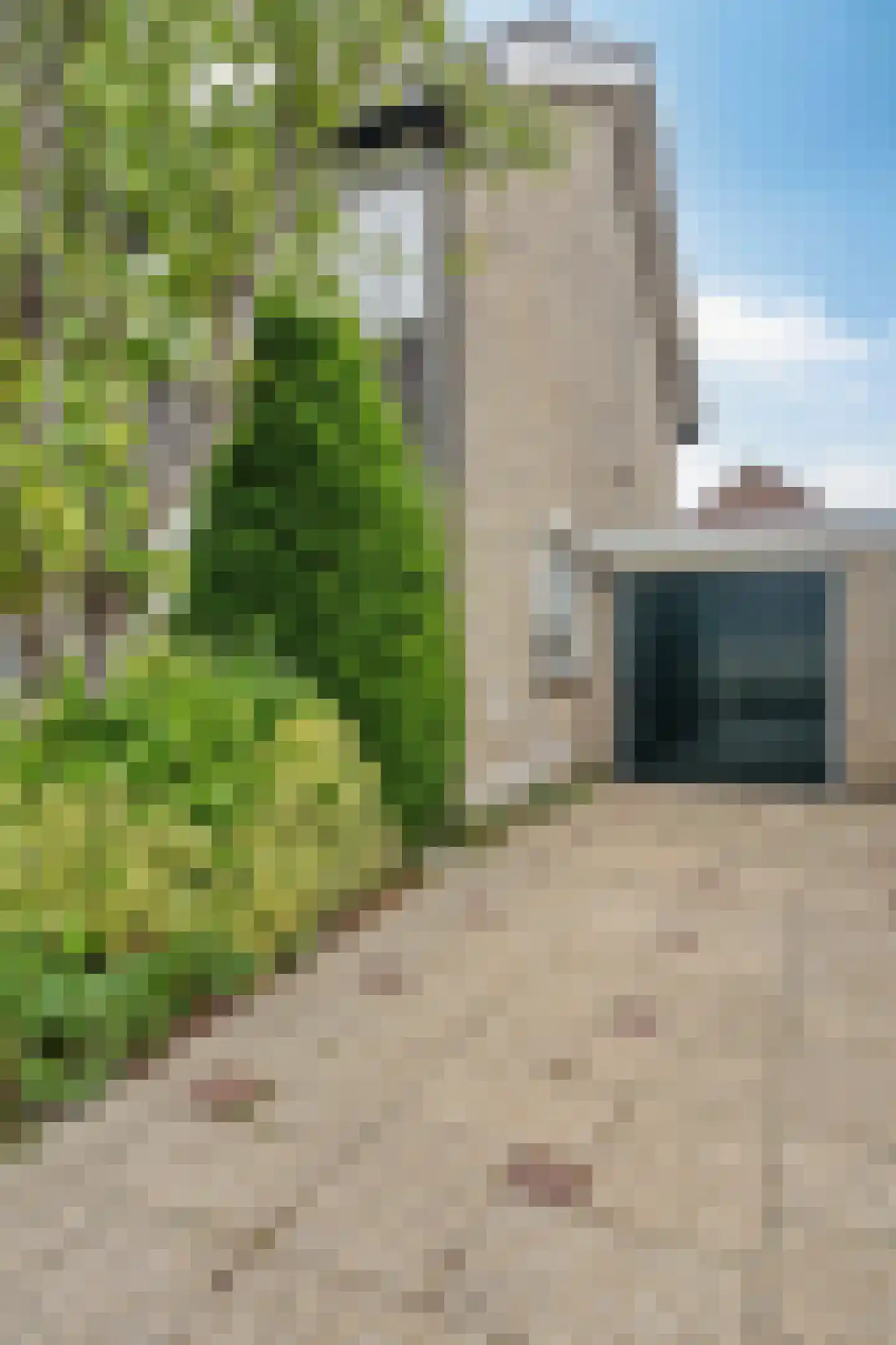 Zangvogelstraat 17 Heinkenszand thumbnail 4