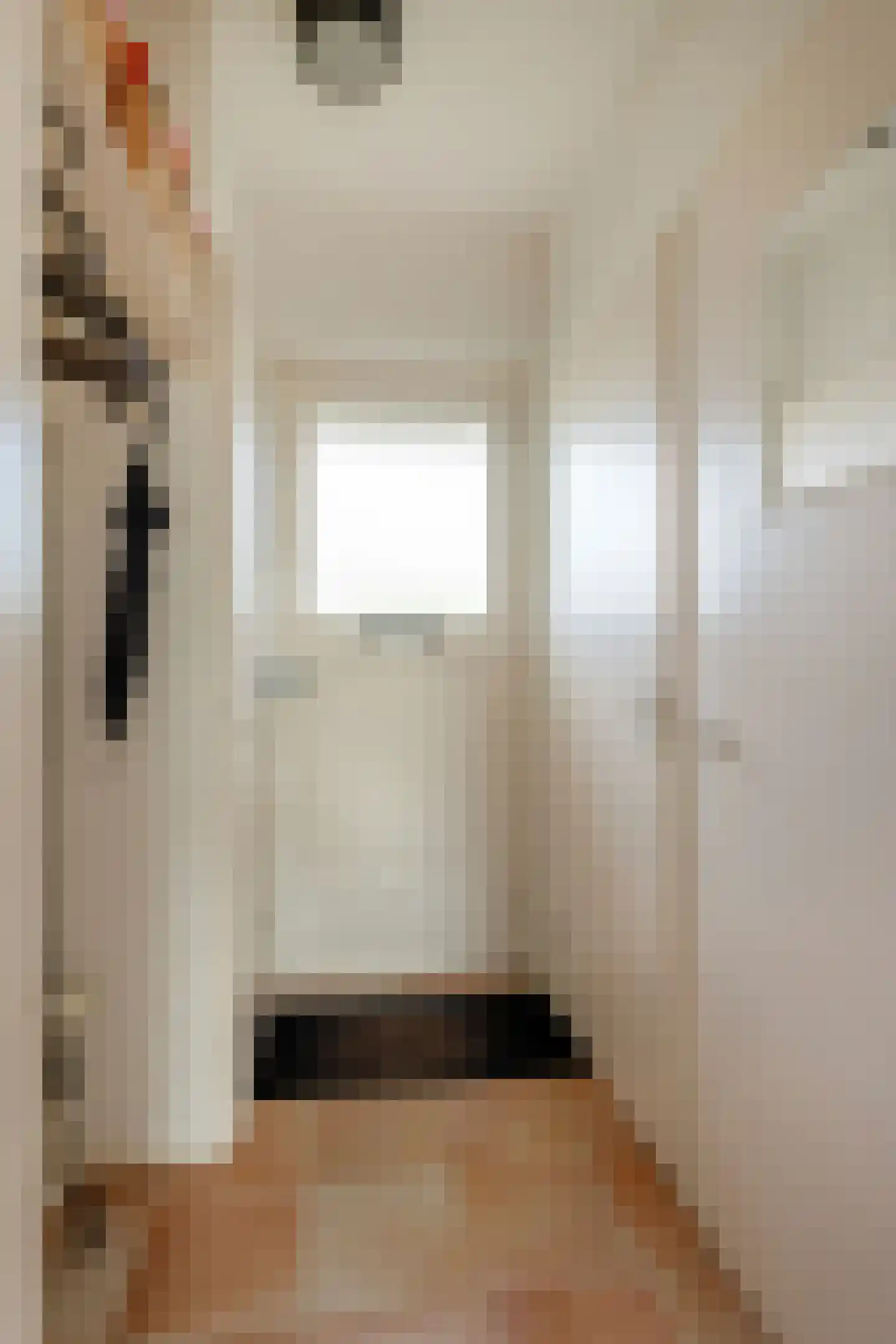 Zangvogelstraat 17 Heinkenszand thumbnail 6