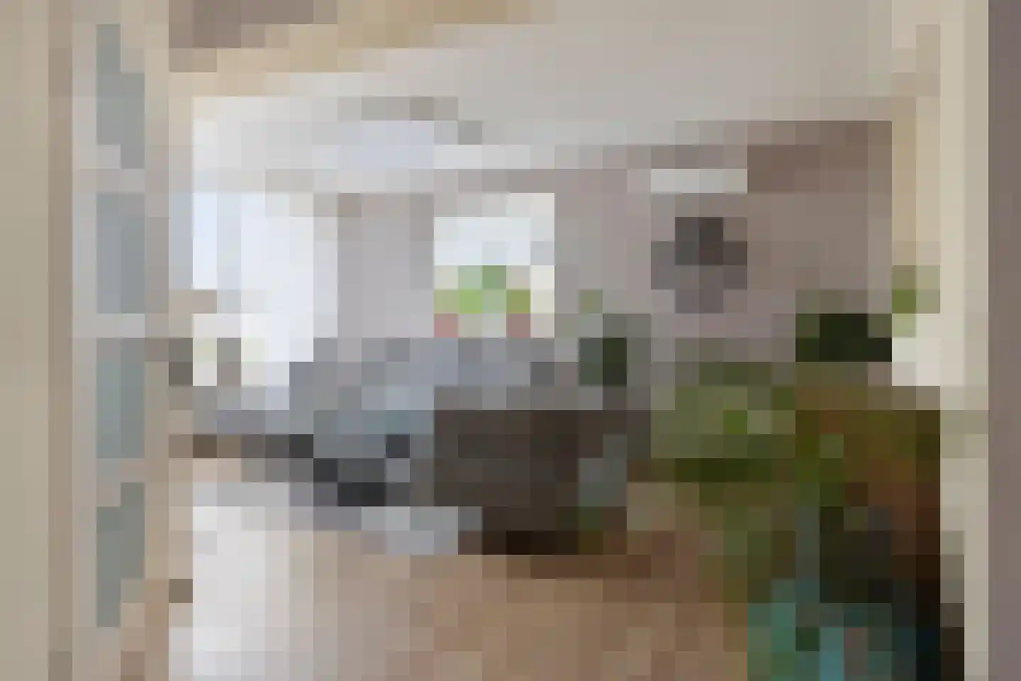 Zangvogelstraat 19 Heinkenszand thumbnail 10
