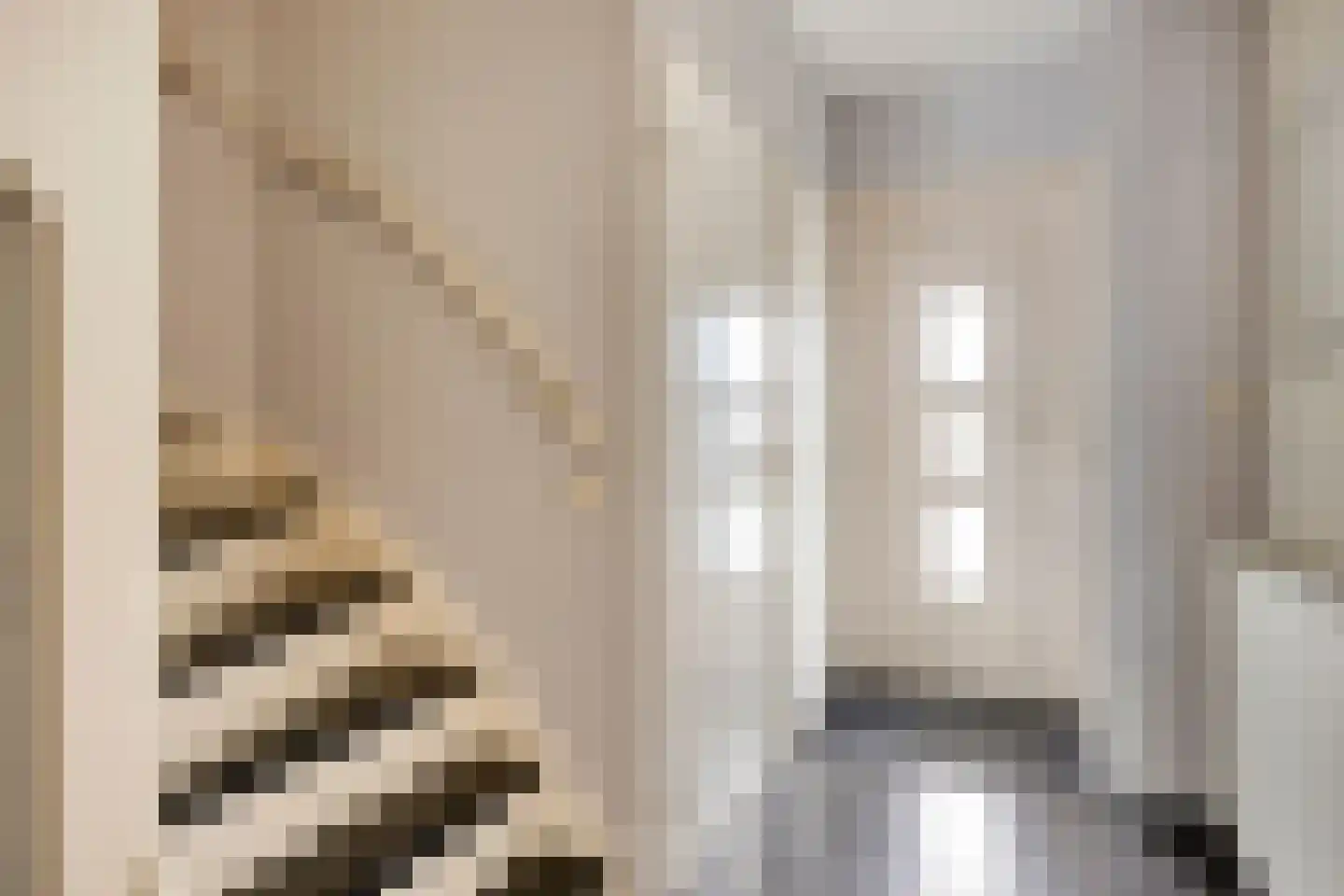 Zangvogelstraat 19 Heinkenszand thumbnail 7