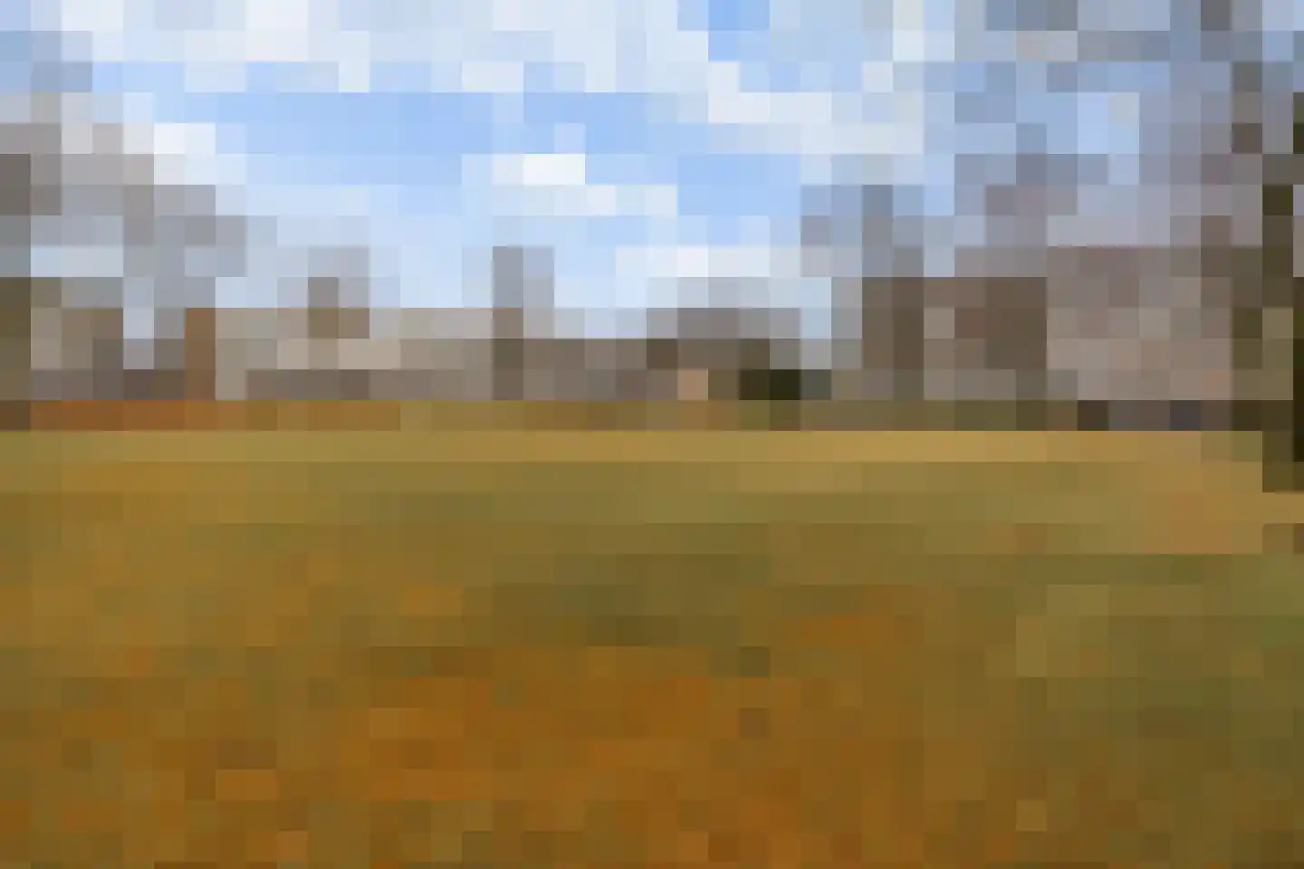 Zangvogelweg 107 Amersfoort thumbnail 26