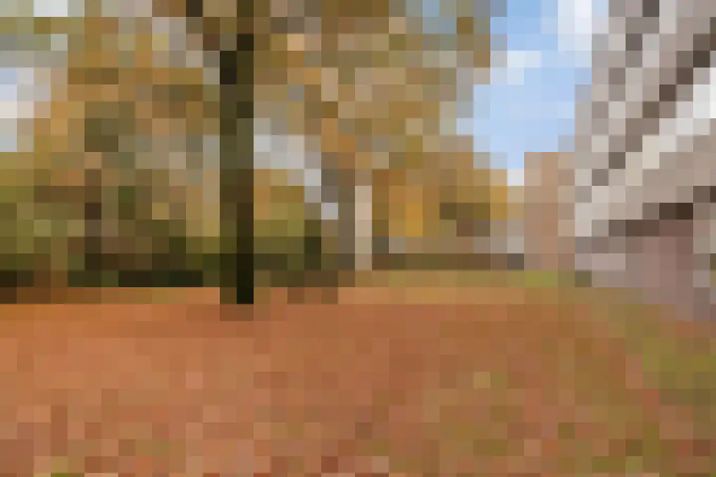 Zangvogelweg 107 Amersfoort thumbnail 27