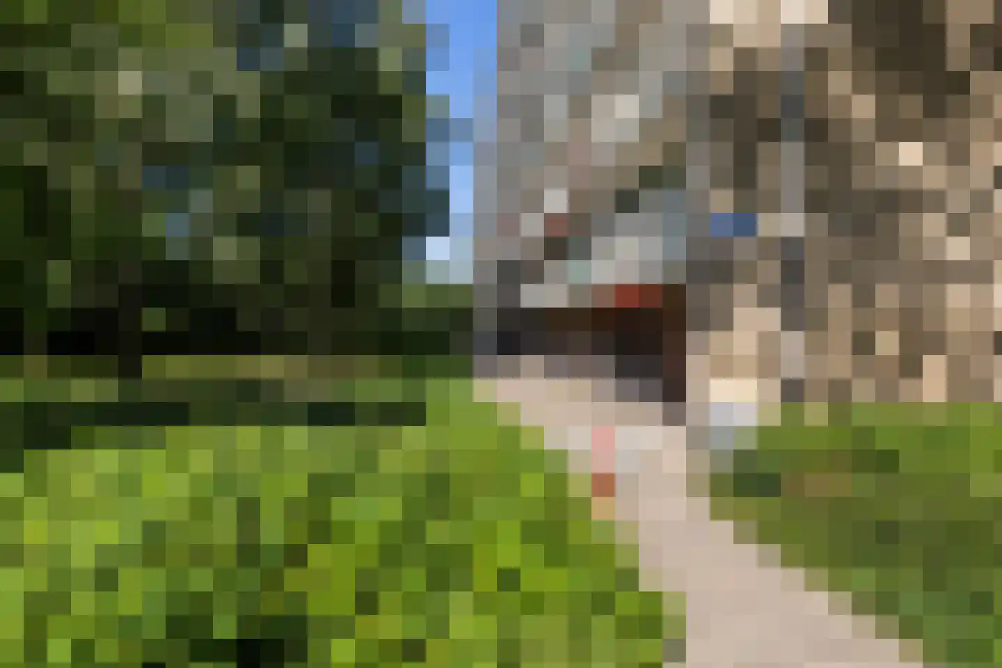 Zangvogelweg 116 Amersfoort thumbnail 42